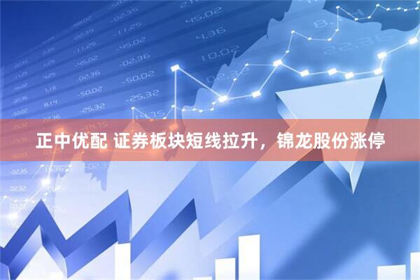 正中优配 证券板块短线拉升，锦龙股份涨停